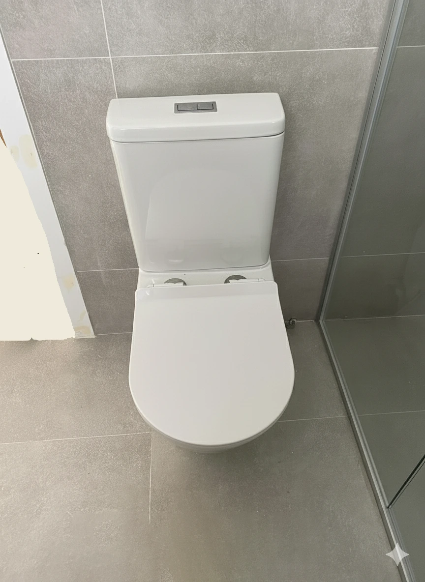 Silent Flush Upgrade: Modernizing to a Caroma-Style Back-to-Wall Suite