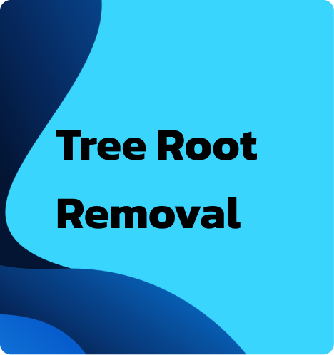Tree Root Drain Removal - Licensed Plumber NSW